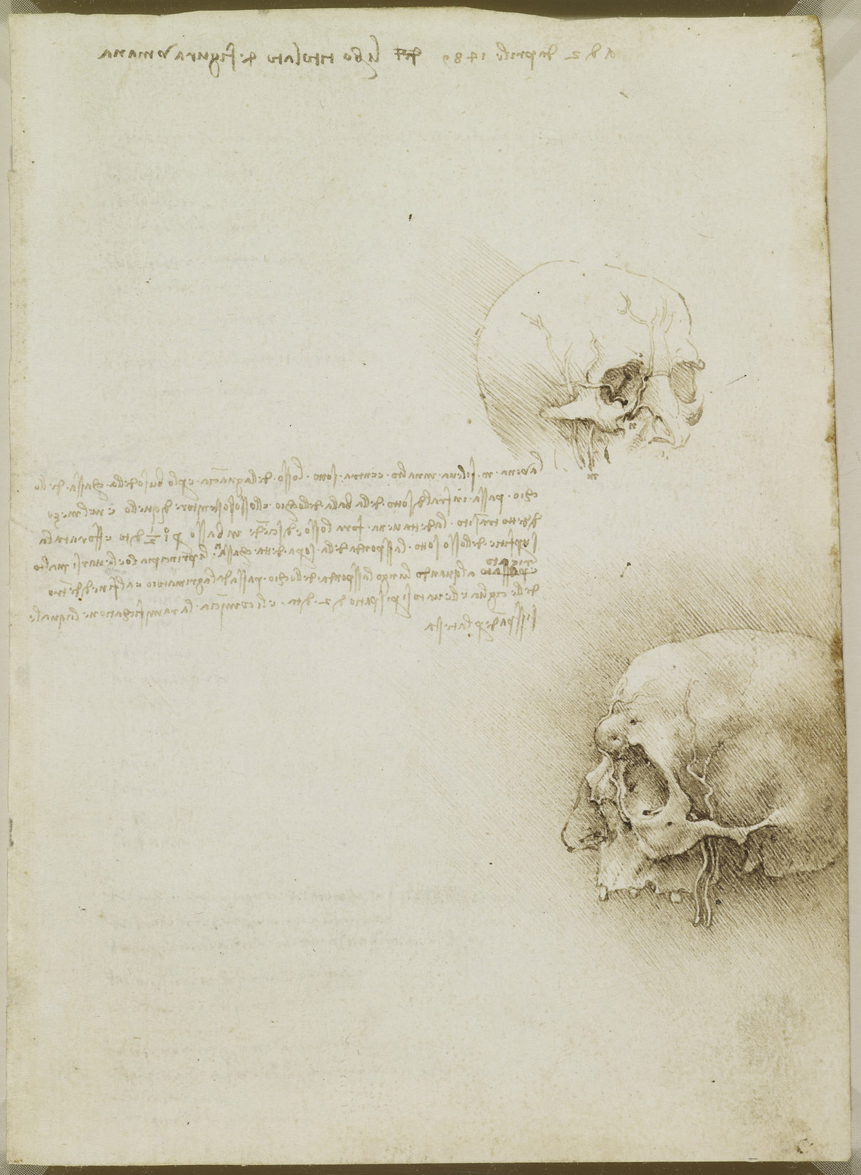 Анатомические рисунки Леонардо да Винчи в оцифрованном виде - 12