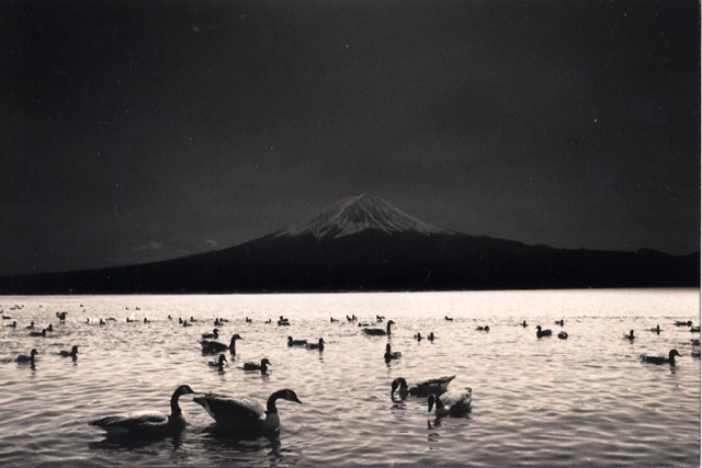 минимализм в фотографиях Масао Ямамото 6