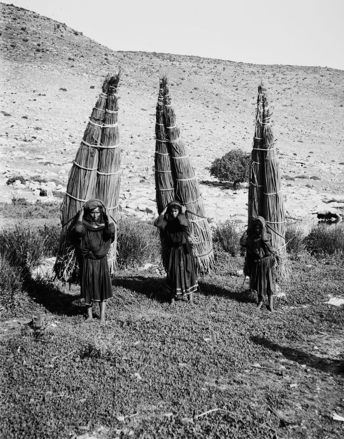 Бедуины в исторических фотографиях  14