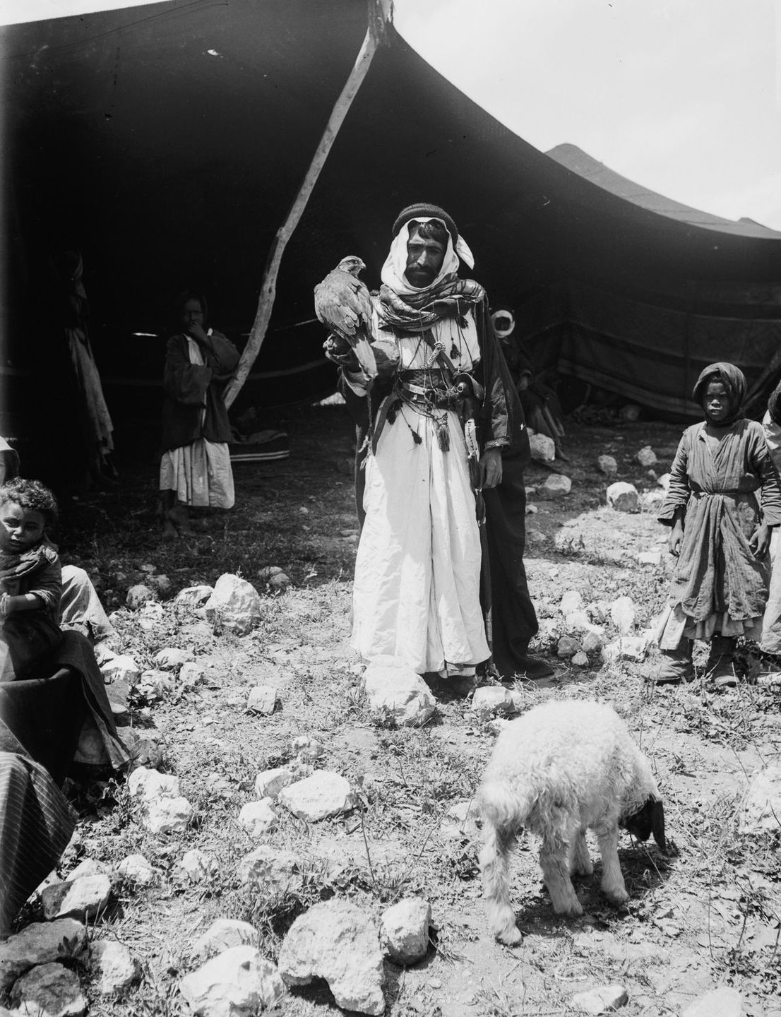 Бедуины в исторических фотографиях  23
