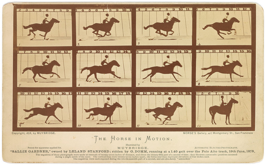 The Horse in Motion - Eadweard Muybridge 1878