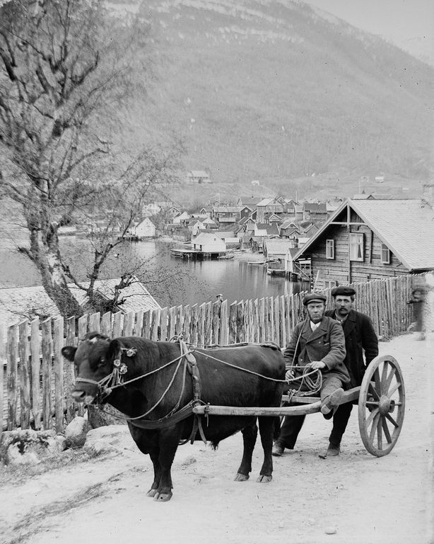 Люди Согндала 1900 Норвегия 22