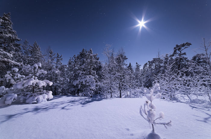 Финляндия, ночь, звёзды и неспящий фотограф 26