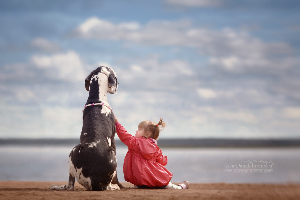 Энди Селиверстов фотографии детей и их больших собаках 23