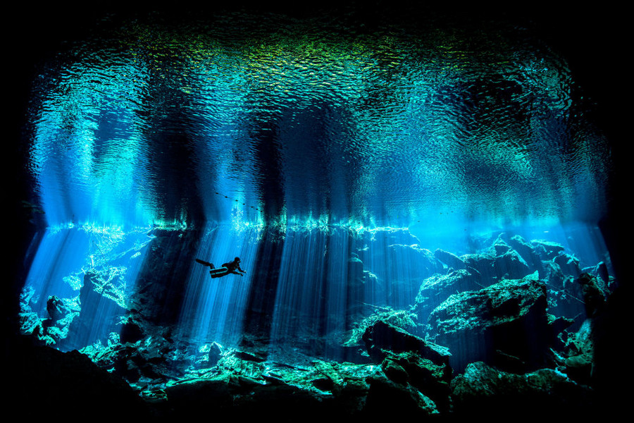 Победители конкурса подводной фотографии 2