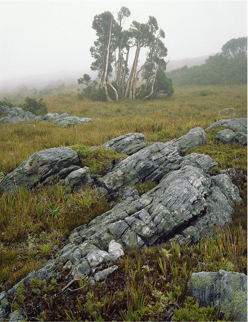 Первобытная красота Тасмании в пейзажных фотографиях Питера Домбровскиса  10