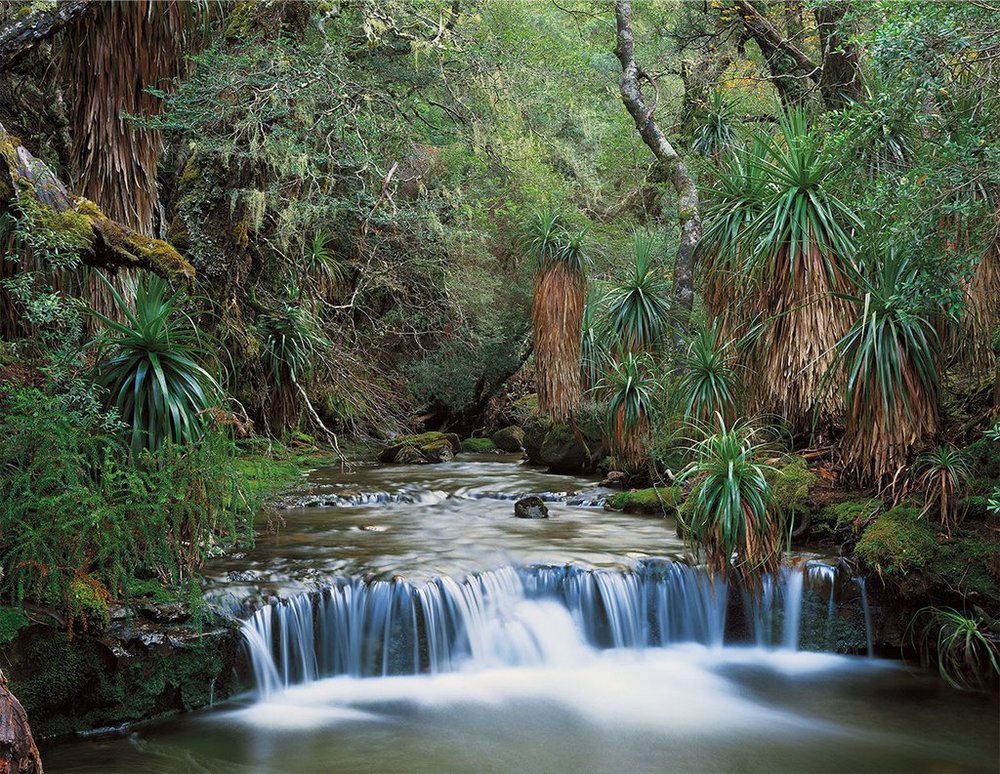 Первобытная красота Тасмании в пейзажных фотографиях Питера Домбровскиса  11