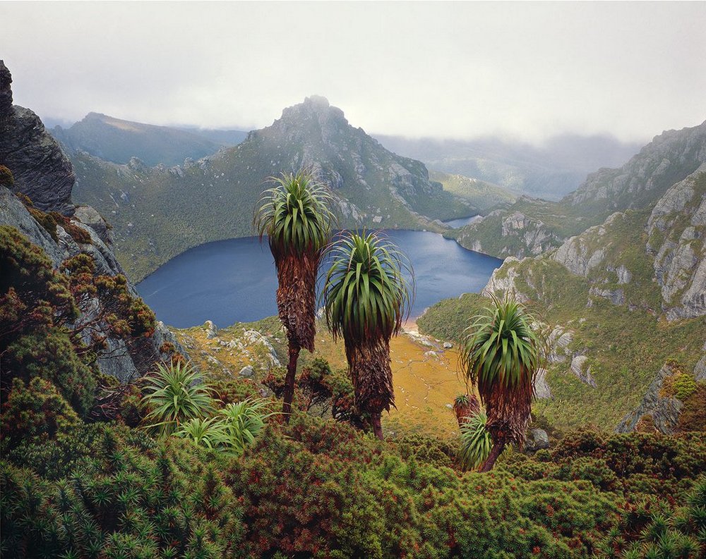 Первобытная красота Тасмании в пейзажных фотографиях Питера Домбровскиса  13