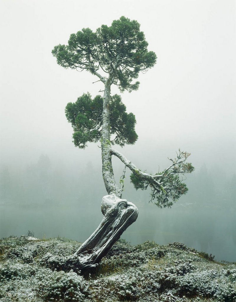 Первобытная красота Тасмании в пейзажных фотографиях Питера Домбровскиса  17