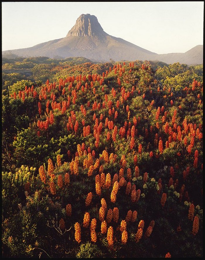 Первобытная красота Тасмании в пейзажных фотографиях Питера Домбровскиса  5