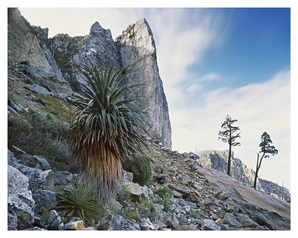 Первобытная красота Тасмании в пейзажных фотографиях Питера Домбровскиса  6