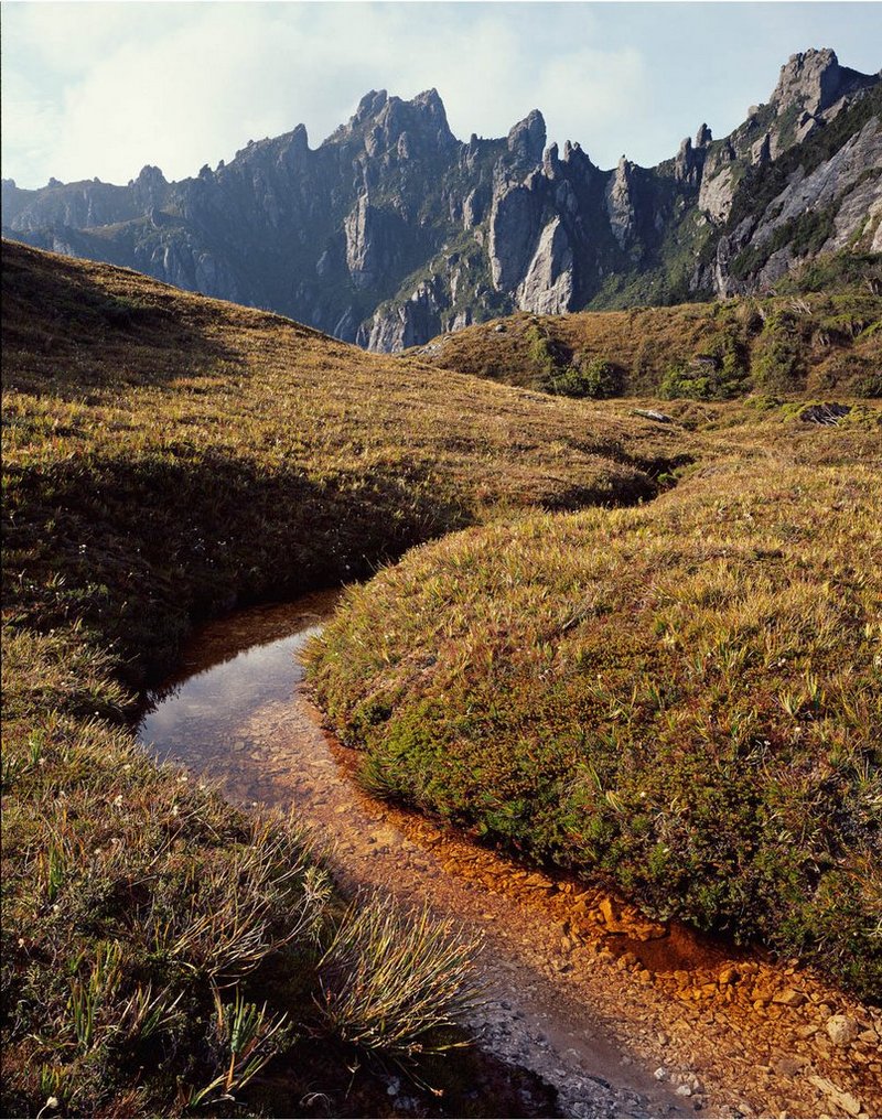 Первобытная красота Тасмании в пейзажных фотографиях Питера Домбровскиса  8