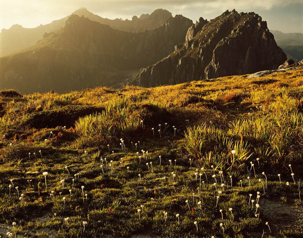 Первобытная красота Тасмании в пейзажных фотографиях Питера Домбровскиса  9