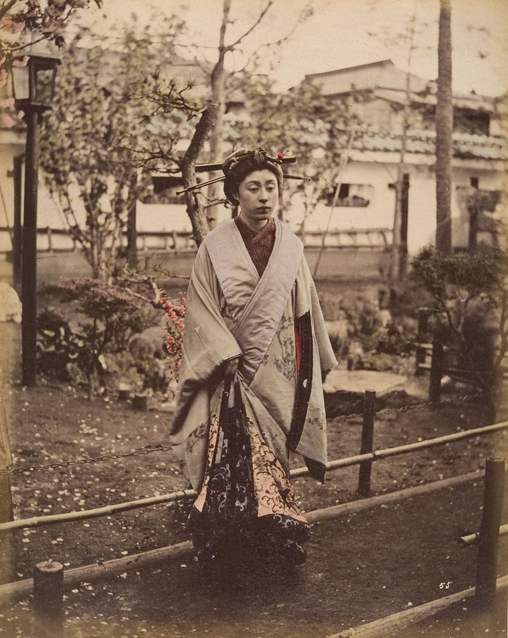 Раскрашенные вручную фотографии Японии 19