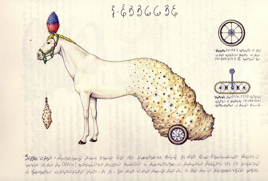 «Кодекс Серафіні» - сюрреалістична енциклопедія неіснуючого світу Луїджі Серафіні 17