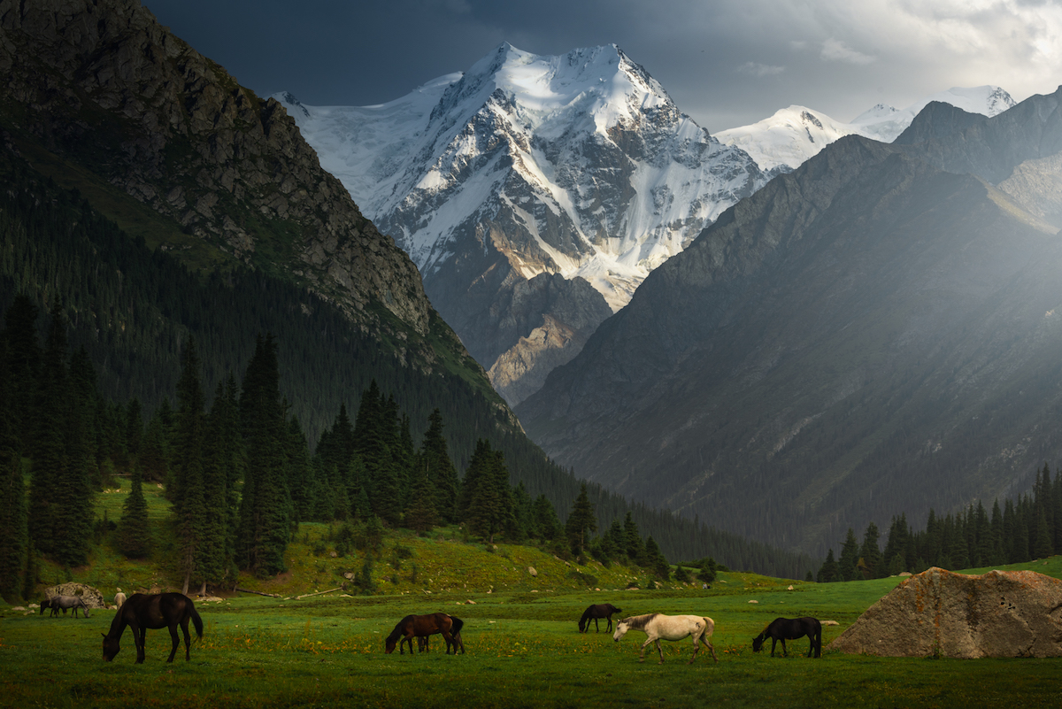 Пейзажи Киргизии, потрясшие нидерландского фотографа Альберта Дроса 2