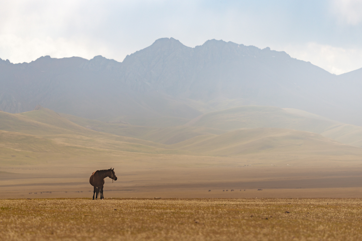 Пейзажи Киргизии, потрясшие нидерландского фотографа Альберта Дроса 23