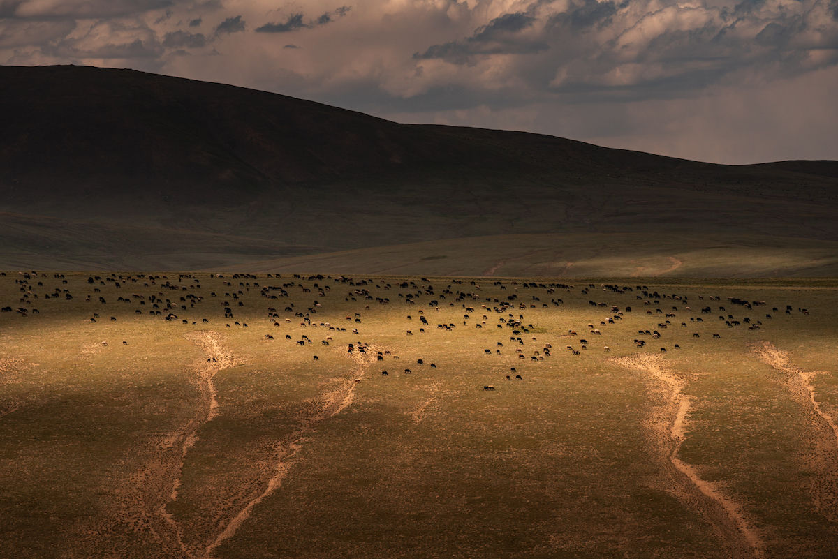 Пейзажи Киргизии, потрясшие нидерландского фотографа Альберта Дроса 7