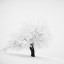 «Зимнее хайку» – фотографическая лирика Андрея Бачу