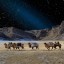 Простор, великолепие и простота – Монголия в фотографиях Марка Прогина