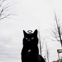 Удачные ракурсы и оптические иллюзии в фотографии