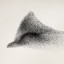 Живые облака из тысяч птиц в фотопроекте «Чёрное Солнце»