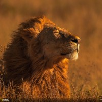 Мир глазами победителей фотоконкурса National Geographic