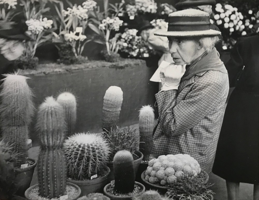 Дама и кактусы, 1946. Автор Курт Хаттон