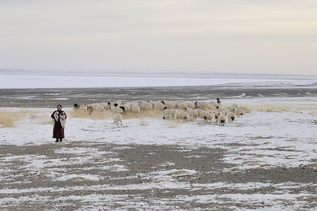 Овцеводы. Аймак Увс, недалеко от озера Хяргас-Нуур, Монголия, март 2011 года. Фотограф Марк Прогин