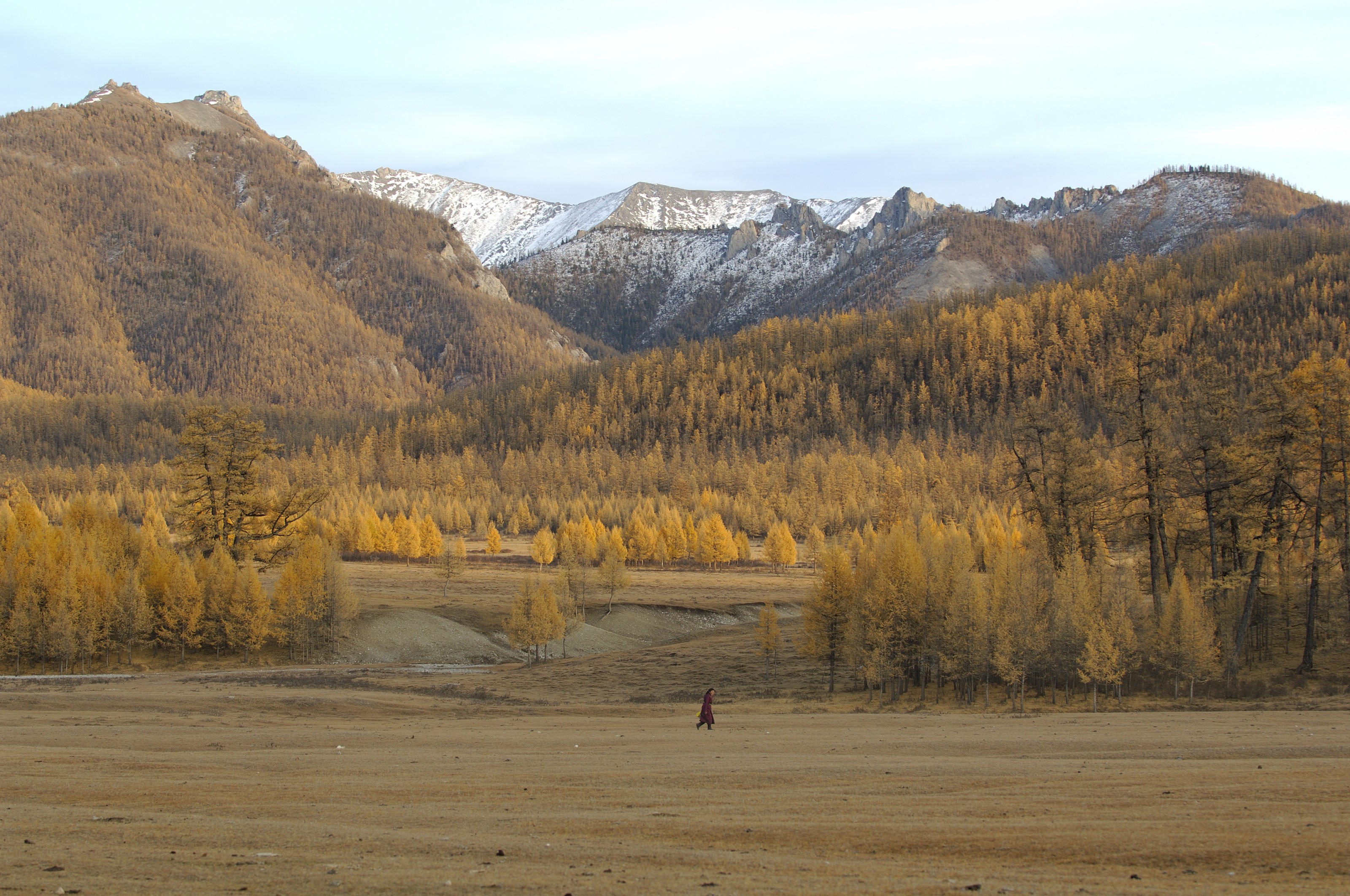 «Вышивка золотом и шёлком». Монголия, 2007. Фотограф Марк Прогин