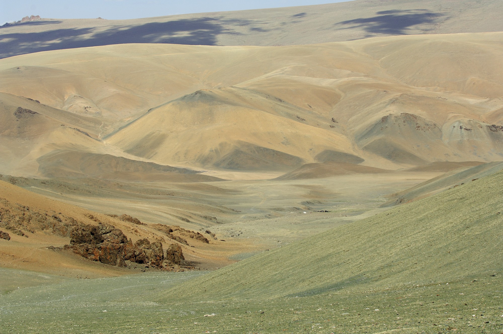 «Любовное гнёздышко в пышной зелени». Монголия, 2006. Фотограф Марк Прогин