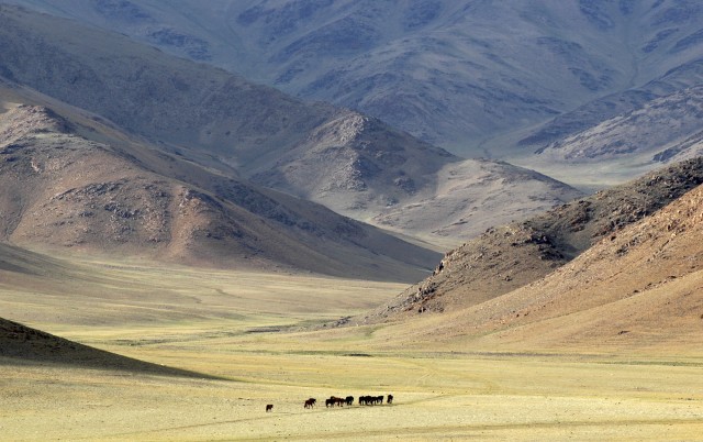 «Одиночество», Монголия, 2004. Фотограф Марк Прогин