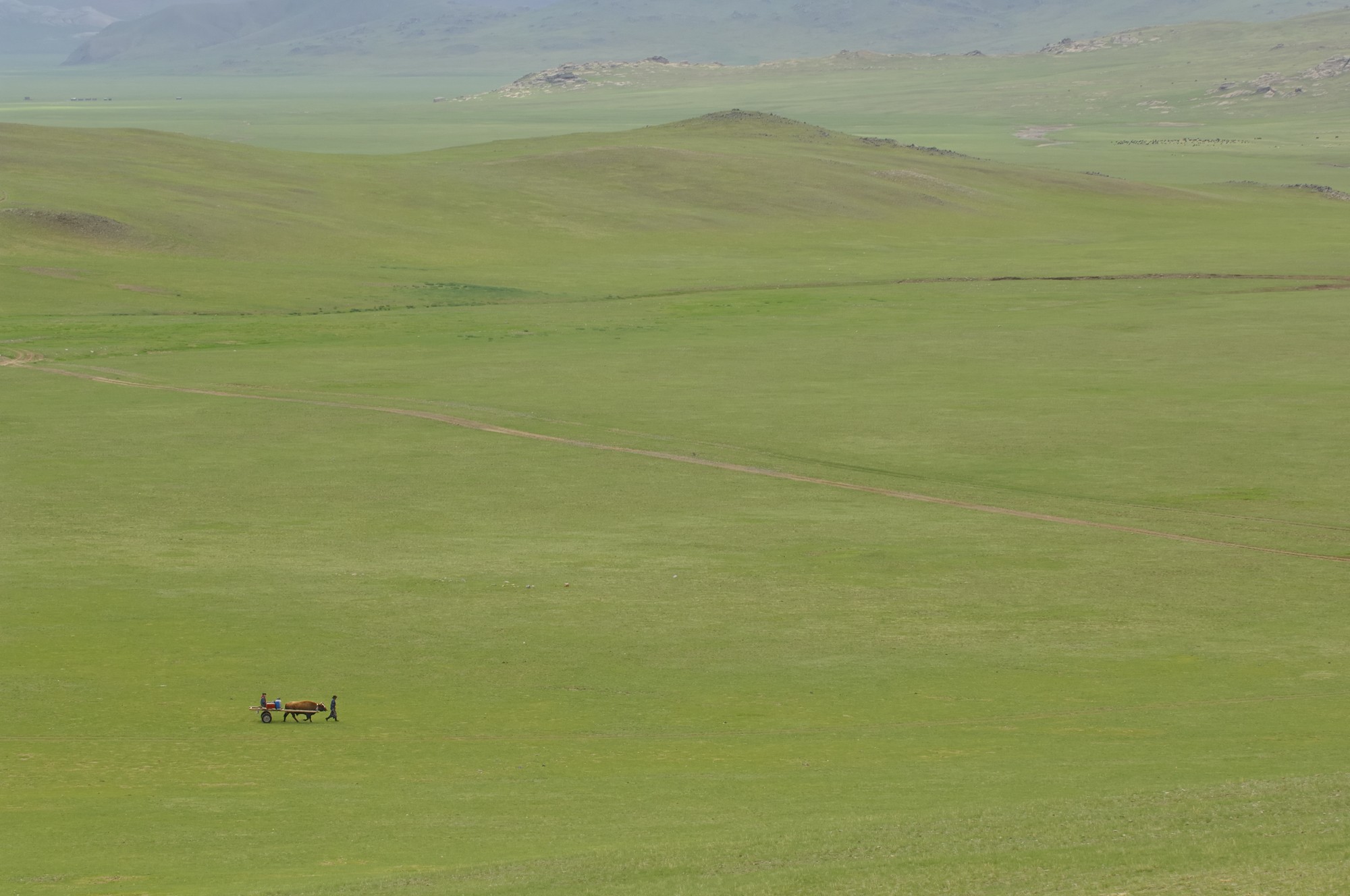 «Океан травы», Монголия, 2007. Фотограф Марк Прогин