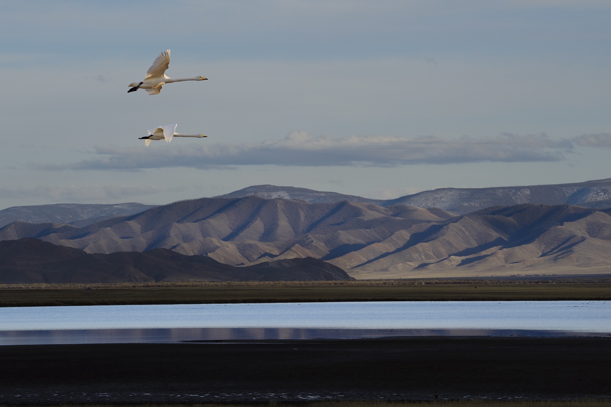 «Крылья свободы». Монголия, 2019. Фотограф Марк Прогин