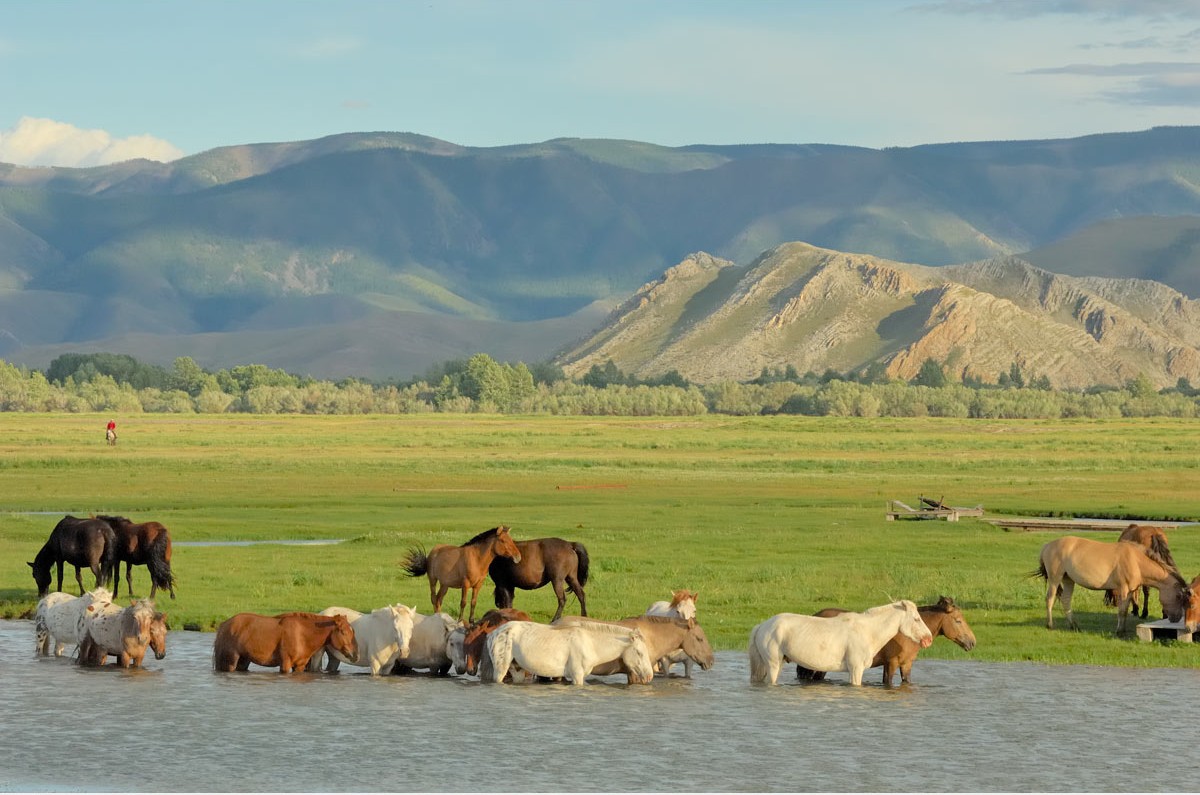 Фотографии Монголии. Автор Марк Прогин (7)