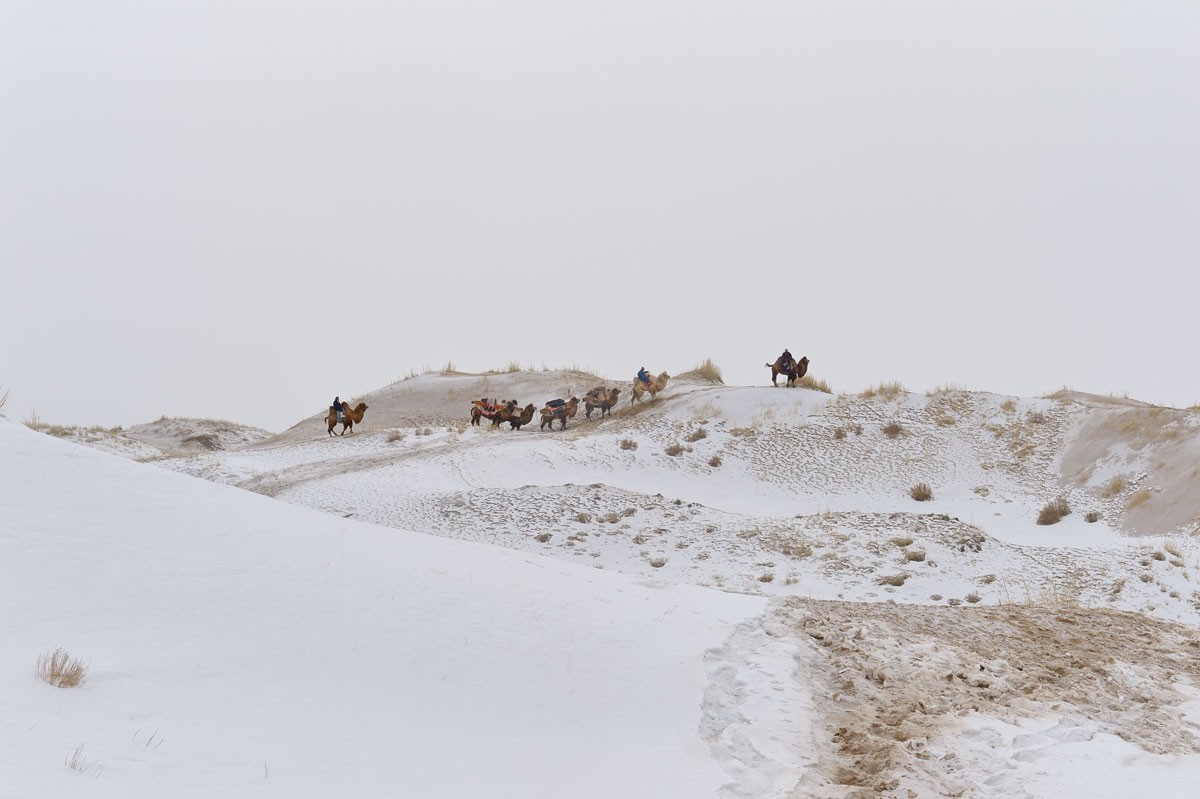 Фотографии Монголии. Автор Марк Прогин (35)