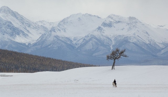Простор, великолепие и простота – Монголия в фотографиях Марка Прогина