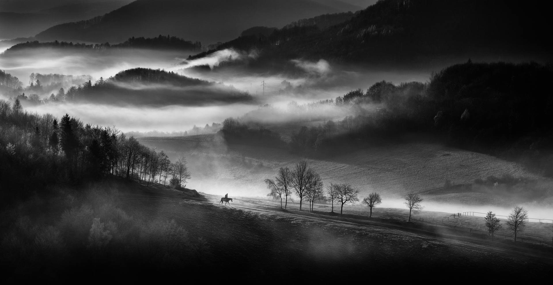 Одинокий всадник безмятежным туманным утром в горах Словакии. Автор Петер Свобода
