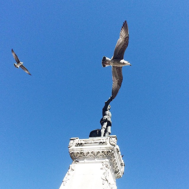 Памятник и птица. Португалия. Автор Тиаго Силва