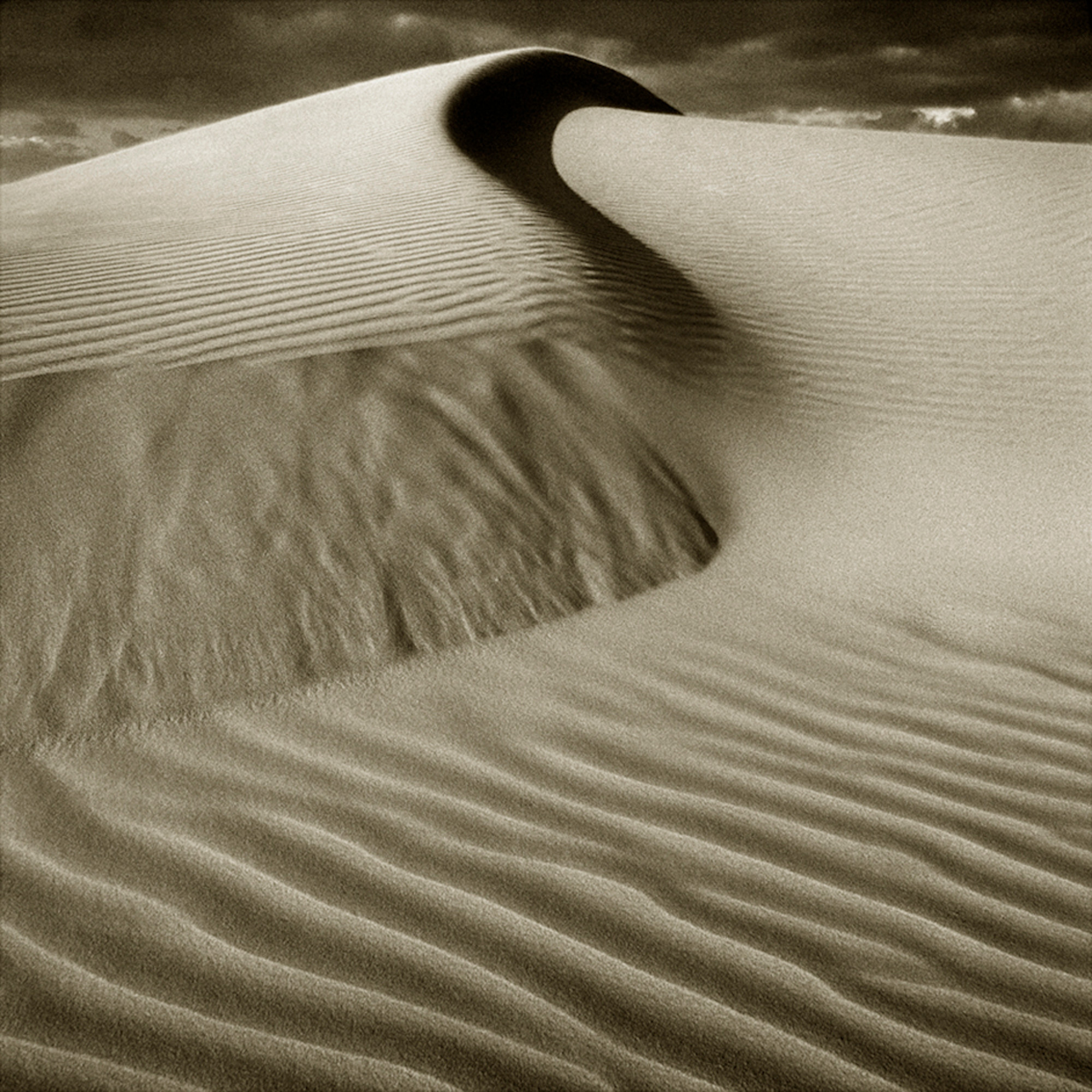 Песчаные дюны, Лааюн, Марокко, 1998 год. Фотограф Альберт Уотсон