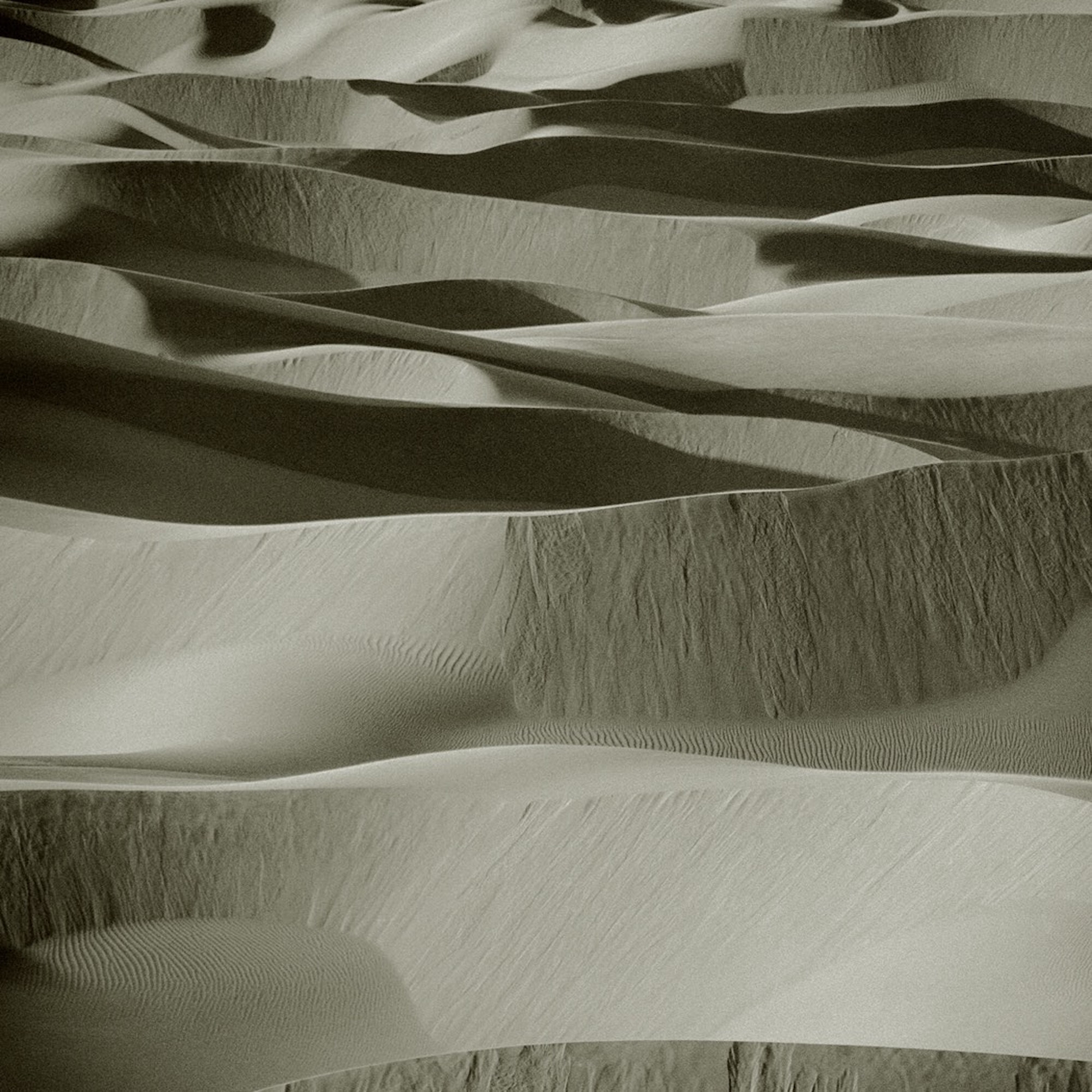 Песчаные дюны, Марокко, 1998 год. Фотограф Альберт Уотсон