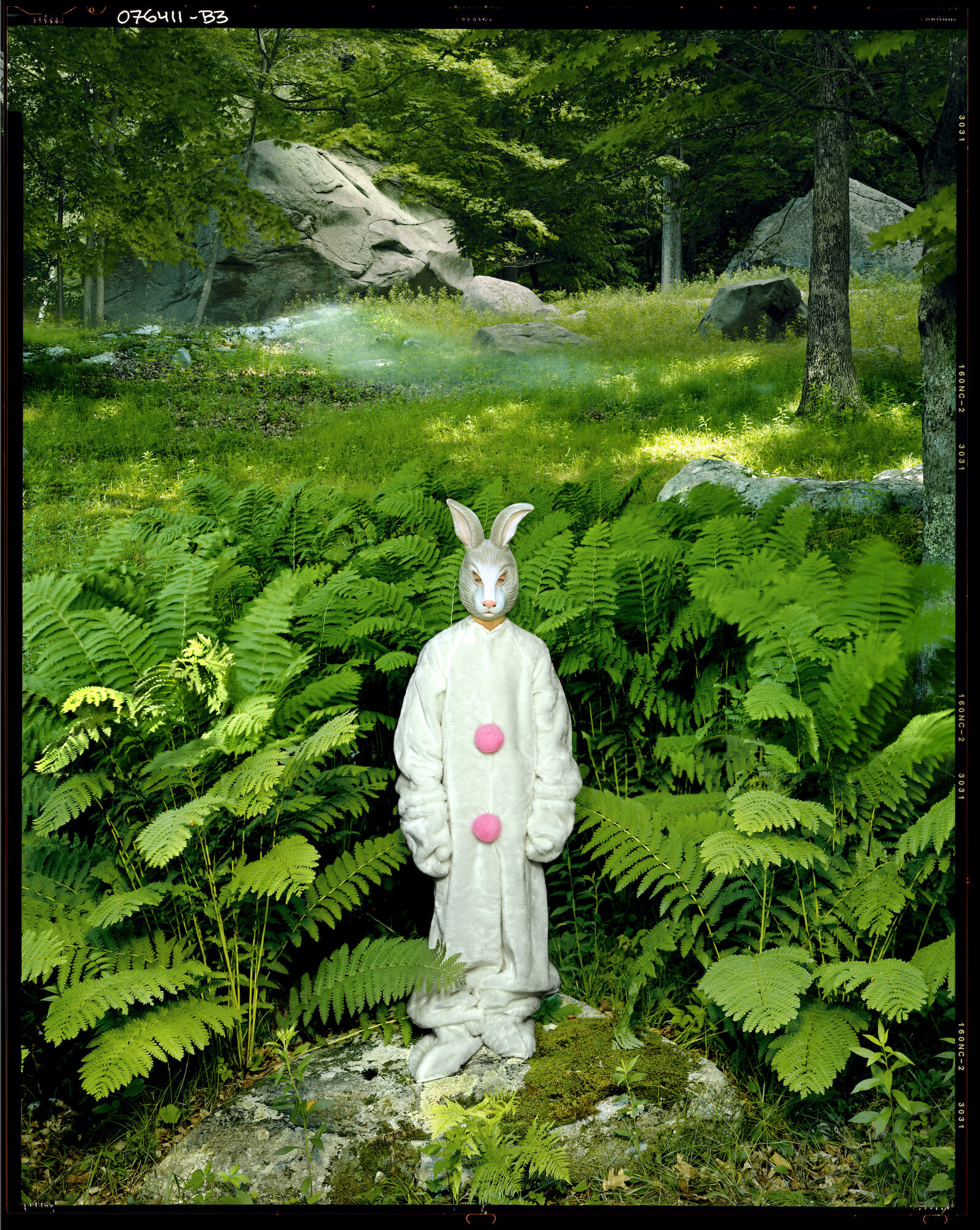 Calliethe Rabbit, Шерман, Коннектикут, 2008 год. Фотограф Альберт Уотсон
