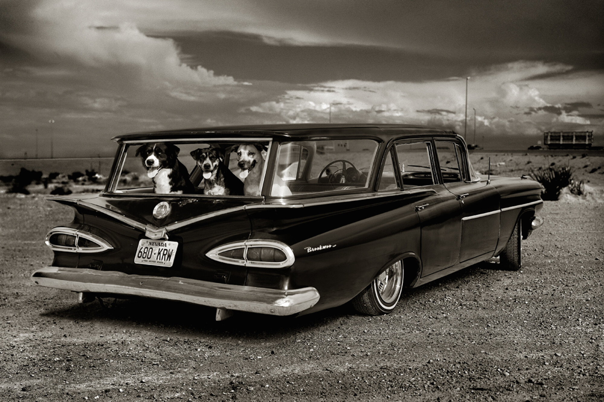 Dogsin Car, Лас-Вегас, 2000 год. Фотограф Альберт Уотсон