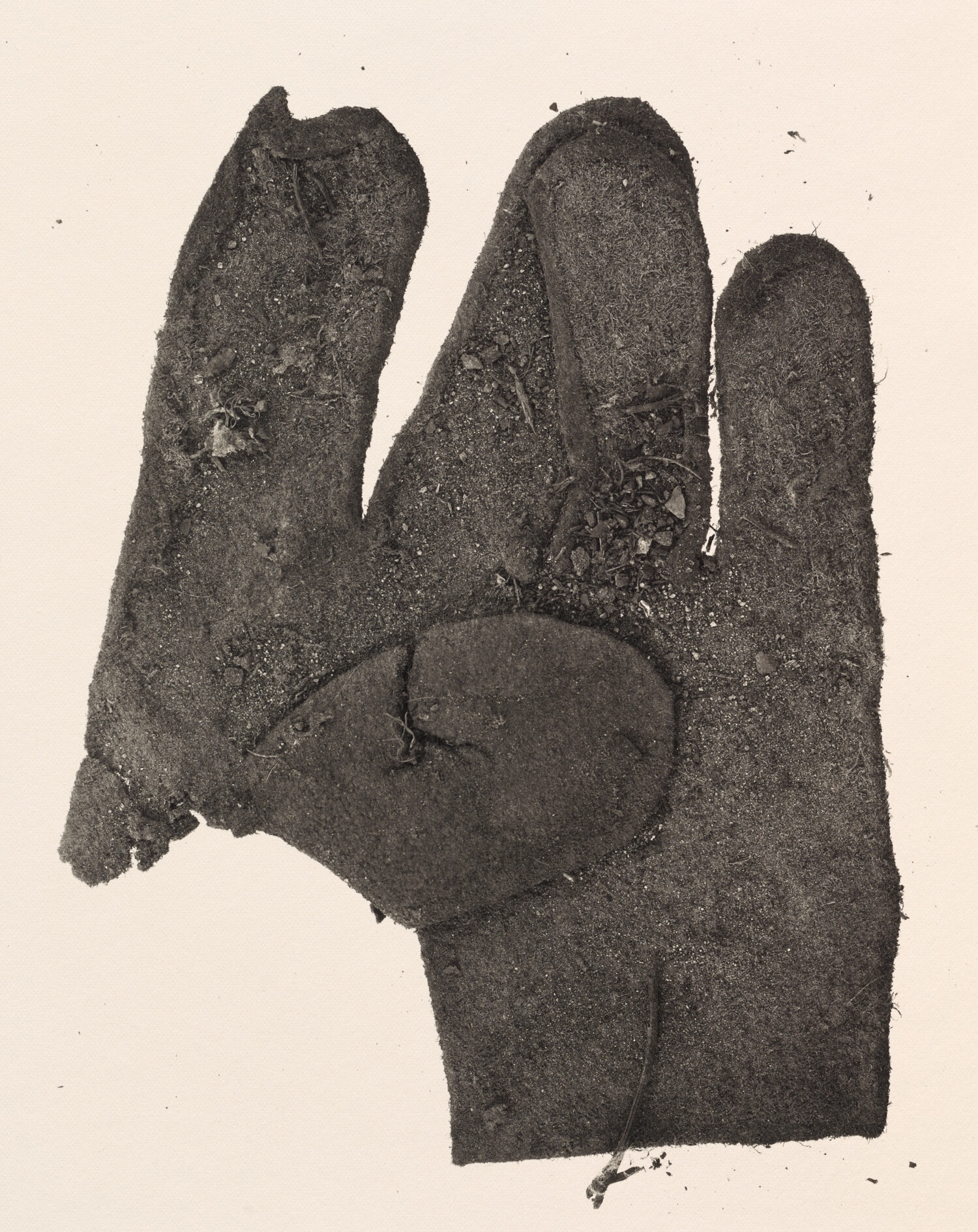 Плоская перчатка, Нью-Йорк, 1975 год. Фотограф Ирвин Пенн