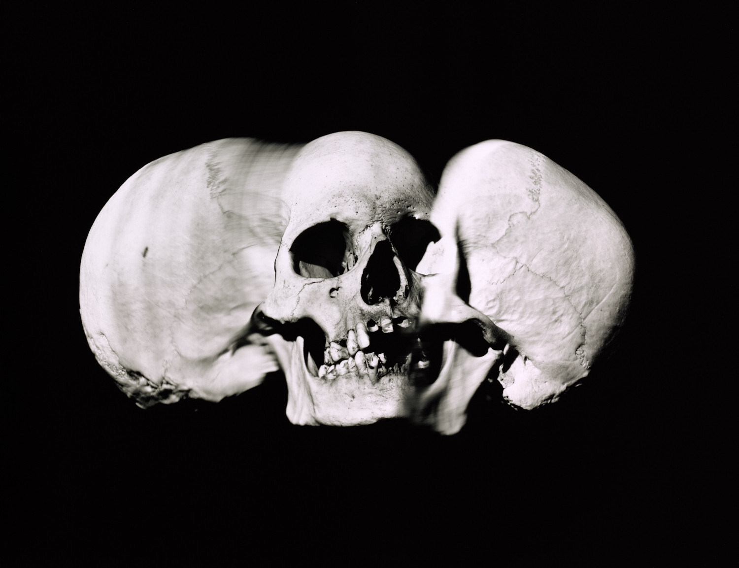 Широкий череп, Нью-Йорк, 1993 г. Фотограф Ирвин Пенн