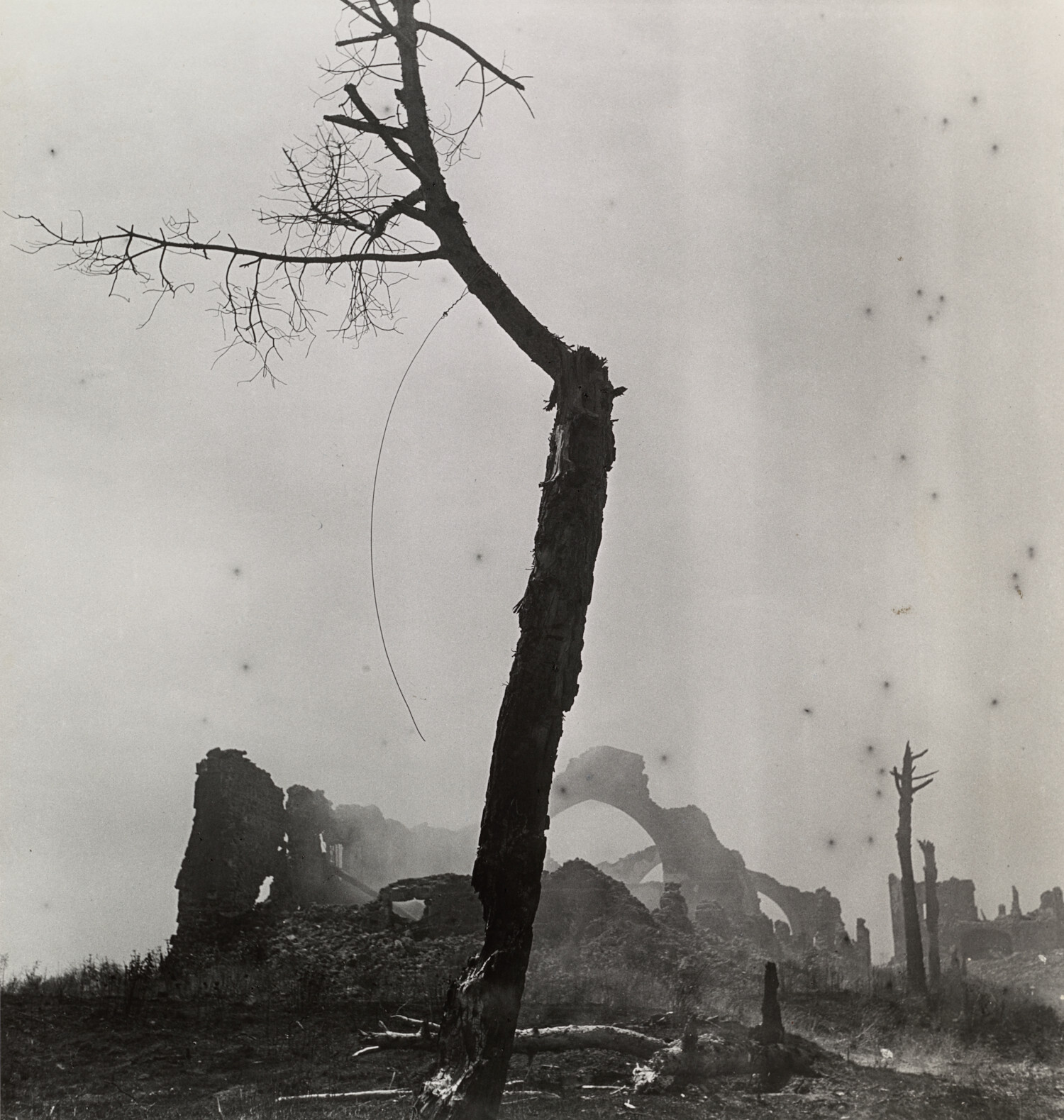 Плацдарм Анцио, год после битвы, Италия, 1945 г. Фотограф Ирвин Пенн