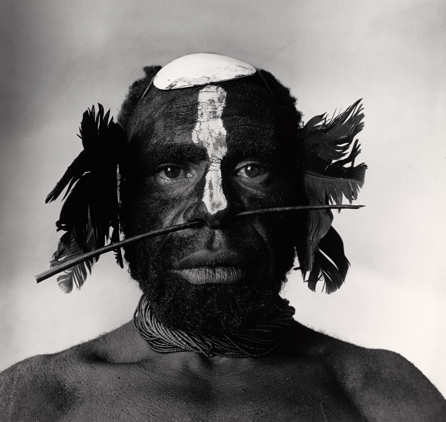 Соплеменник с украшением в носу, Новая Гвинея, 1970 г. Фотограф Ирвин Пенн