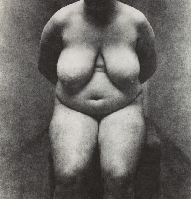 Обнаженная №1, Нью-Йорк, 1947 год. Фотограф Ирвин Пенн