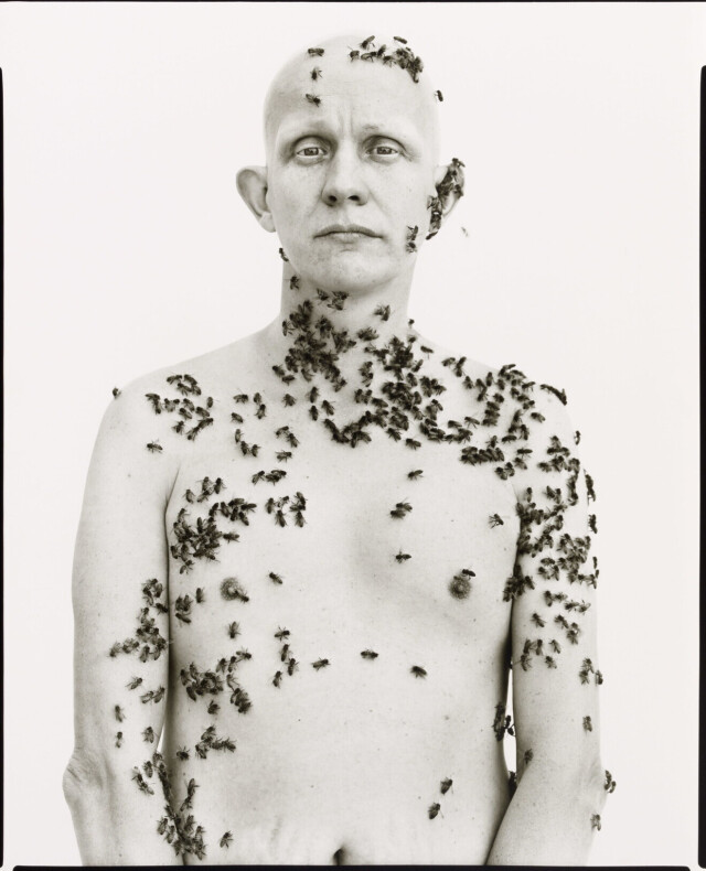 Рональд Фишер, пчеловод, Дэвис, Калифорния, 1981. Фотограф Ричард Аведон