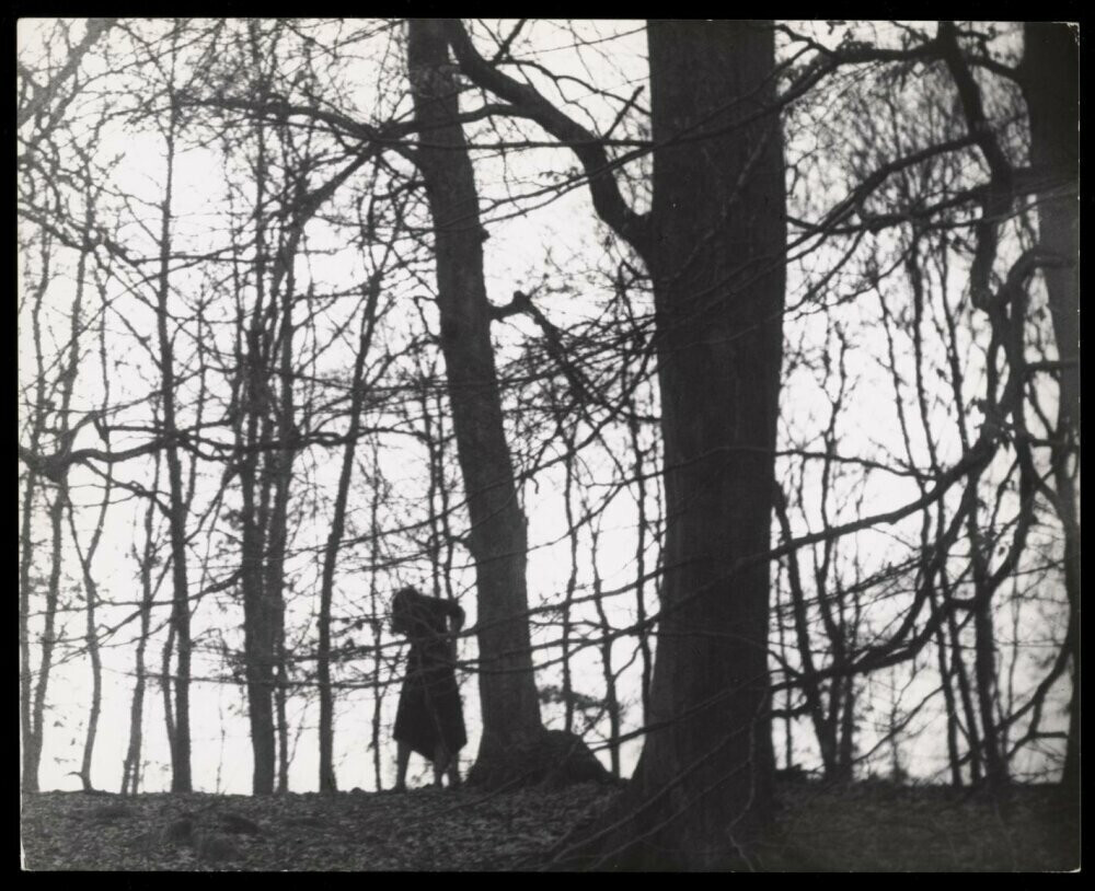 1959-1967 гг. Фотограф Санне Саннес (170)